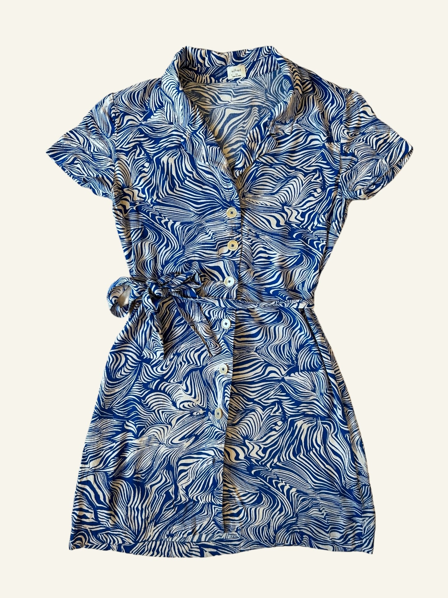 Aritzia - Robe chemise à boutons